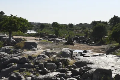 DSC_2718 (Large).JPG